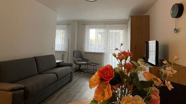 Ein helles Wohnzimmer in einer Wohnung in Magdeburg mit Sofa, Fernseher und einem Tisch mit bunten Blumen.
